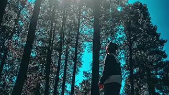 树林里逆光创意拍摄技巧分享 #iphone拍照小技巧 #日常vlog #拍出电影感 #氛围感 #户外