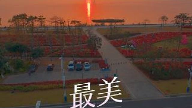 有花、有海、有日落 横琴花海长廊日落时分#横琴花海长廊5号驿站 #落日余晖映晚霞一抹夕阳美如画