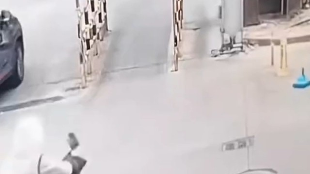 给牌子吓得直哆嗦