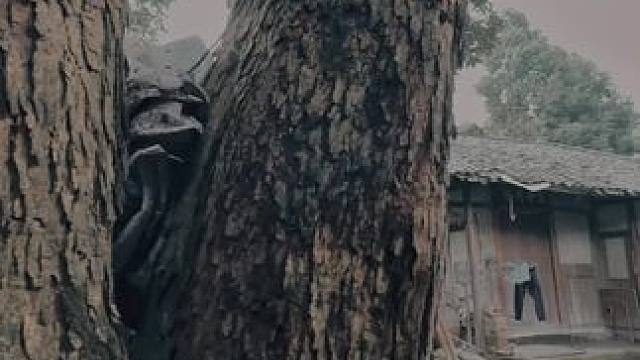 家乡入冬的时候，你会想着回家过年吗？#农村生活 #旧房改造 #乡村振兴 #亨哥旧房改造#老房改造