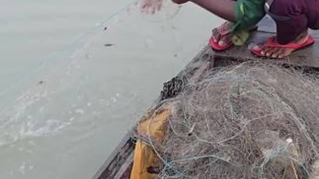 #内容启发搜索 #鱼获满满 #捕鱼 #捕鱼达人