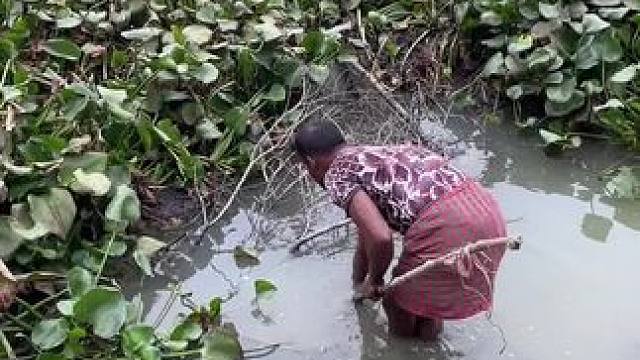 #内容启发搜索 #逮鱼摸虾 #记录农村生活 #户外抓鱼 #捕鱼