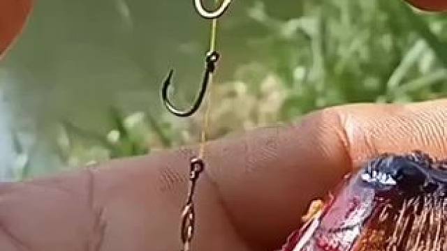 #内容启发搜索 #今天的收获 #钓鱼的乐趣只有钓鱼人懂 #真实户外 #钓鱼人就是这么疯狂