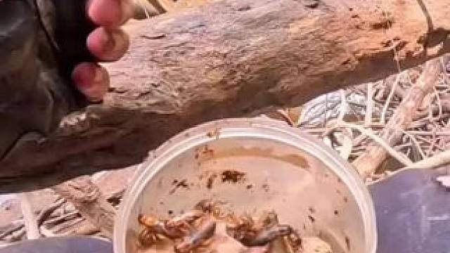 #内容启发搜索 #真实户外 #这是什么操作 #钓鱼 #钓鱼人