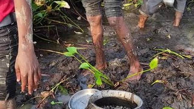 逮鱼摸虾#内容启发搜索 #抓鱼#逮鱼摸虾#户外抓鱼 #徒手抓鱼