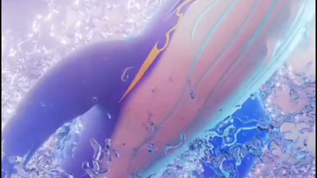 蟹蟹老黄的鲲鹏啊啊啊啊啊啊不要小瞧我们家人们之间的羁绊啊！！！！