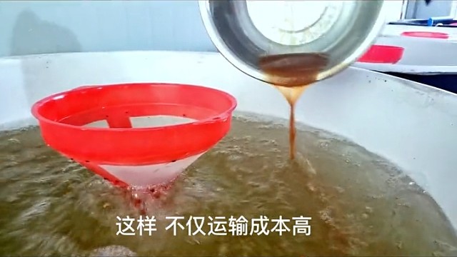 自己孵化泥鳅苗靠谱吗？