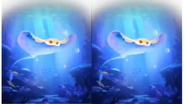 春节前的荣耀～谢谢亲爱的家人～