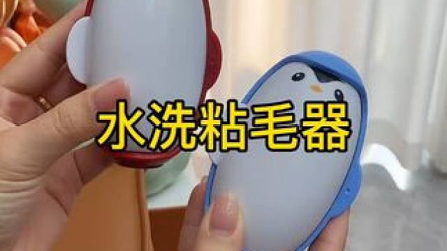 神奇的粘毛器 神奇的粘毛器!不仅能轻松清理头发和猫猫狗狗掉落的毛发，水一冲就干净能继续用了 #粘毛神