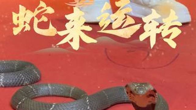 “蛇来运转”“蛇鳄之吻”看大型真人秀表演，春节就来九峰山！
#假期游戏日记 #春节 #养在九峰山 #