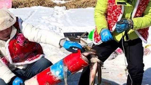 #户外捕鱼 #好多鱼