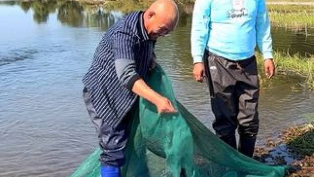 #户外捕鱼 #好多鱼