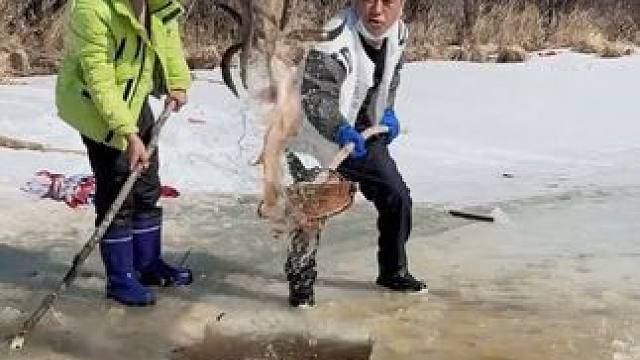 #户外捕鱼 #好多鱼