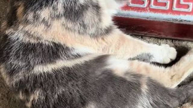 我发布了一个新视频，快来围观吧！