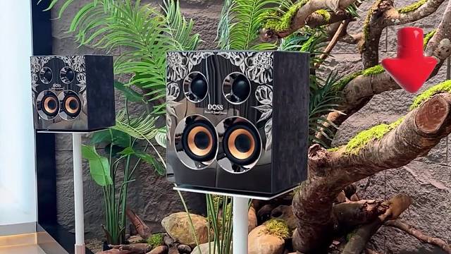 生活最不能缺少的就是音乐