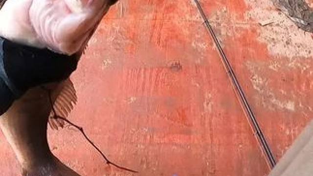 偶尔钓钓鱼还是很开心的啦。好久不更新了，竟然变钓鱼佬了