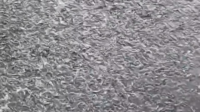 养泥鳅冬天放苗行吗？