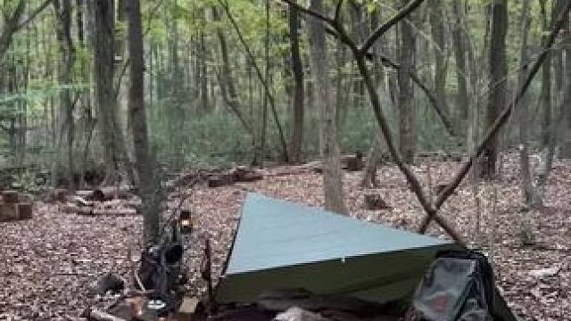 林中露营 #露营报告