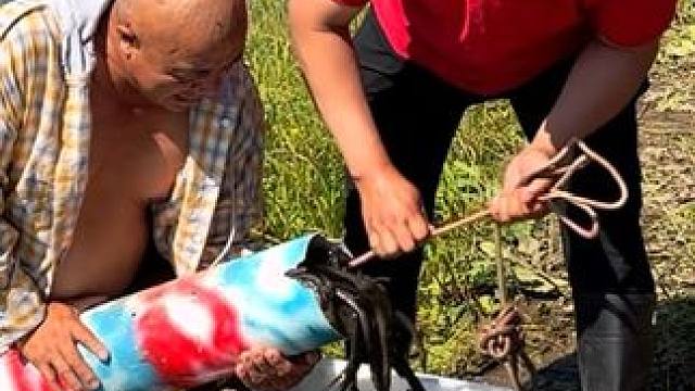 #户外捕鱼 #好多鱼