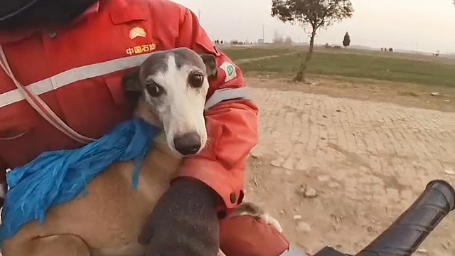 这个跳车的动作太帅了[赞]