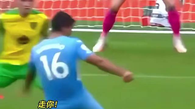 这个球迷厉害了#足球#