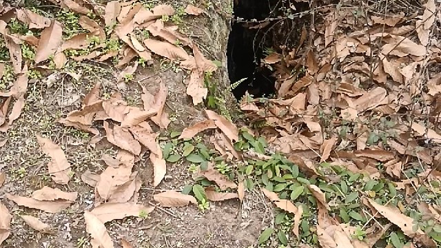 差点踩空——有想跟哥们一起下去的？