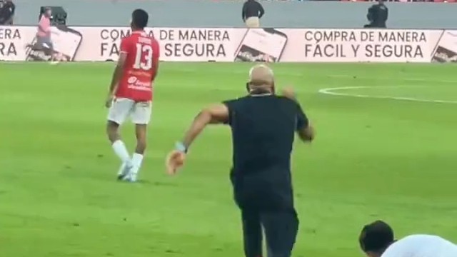 这速度确实快啊！球迷