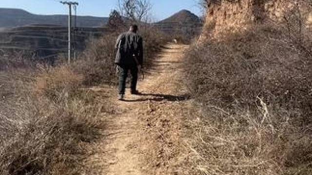 走在乡间小路上，仿佛回到了童年时代，没有烦恼没有难过，悠闲自在。儿时一去不复返，路还在地依旧，人已非