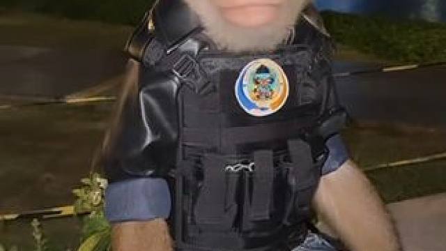 印尼老表的打工猴 #国外视频分享 #宠物 #豚尾猴