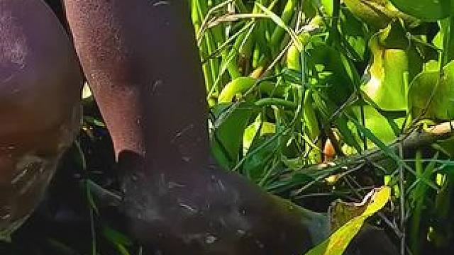 #内容启发搜索 #抓鱼