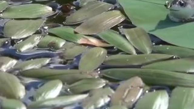 户外实拍#真实户外 #万万没想到 #内容启发搜索