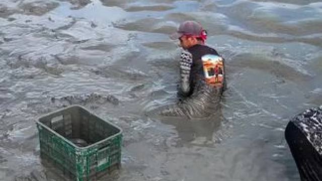 #抓鱼#内容启发搜索