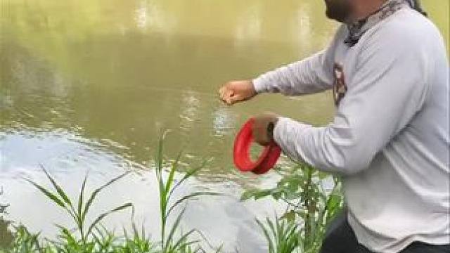 好大一条鱼#真实户外 #钓鱼人就是这么疯狂 #户外钓鱼 #这是高手 #内容启发搜索