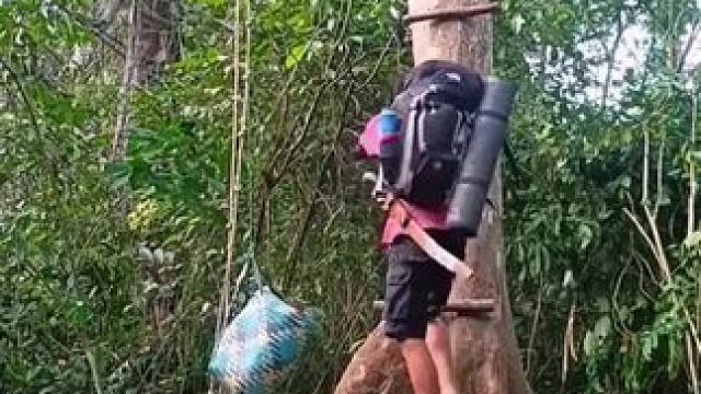 #荒野建造 #野外生存 #野外生活纪录片 #木屋建造 #危险动作请勿模仿