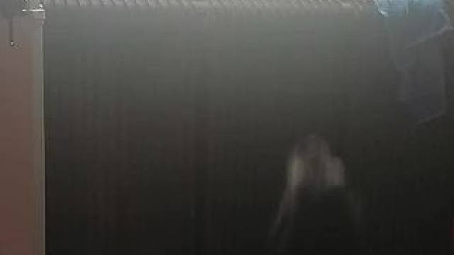 狗急跳墙是真的#狗狗的心思都写在脸上了 #狗狗 #动物的迷惑行为 #傻狗的日常