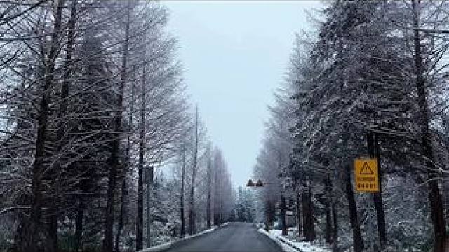 最美的风景在路上#看雪景 #风景都在路上 #川西美景 #喜欢下雪的感觉