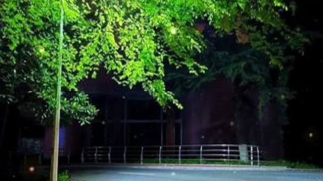 往后余生学会独自行走 不管是否有人相伴！#文案 #孤独也是一种享受 #一个人的路 #风景