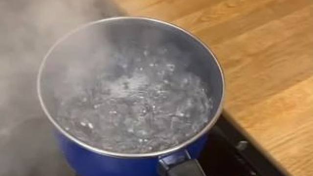 以前有电子宠物，现在有电子植物~ #玩个很新的东西 #内容启发搜索