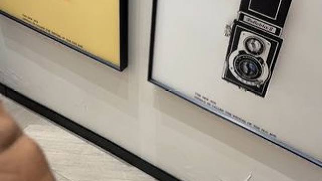 九敏，它是不是长得很像你身边的某个朋友 #玩个很新的东西  #解压 #内容启发搜索 #专治不开心