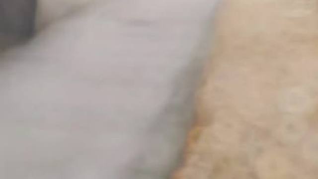 卧槽卧槽卧槽，我的第一颗非洲之心！#三角洲行动 #三角洲新年正当红 #三角洲新年整新活 #三角洲新年