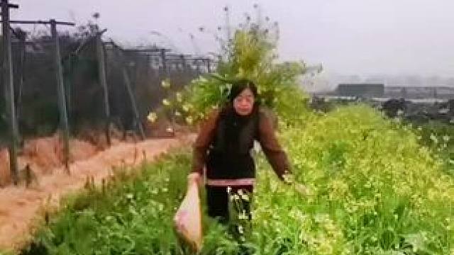 山卡卡里的农村大姐学费了开直播每天收获满满您还在恐播怕播不敢开播开播了不知说什么吗#记录真实生活 #