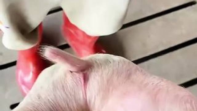 我发布了一个新视频，快来围观吧！