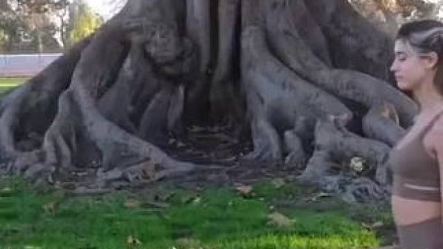 我发布了一个新视频，快来围观吧！