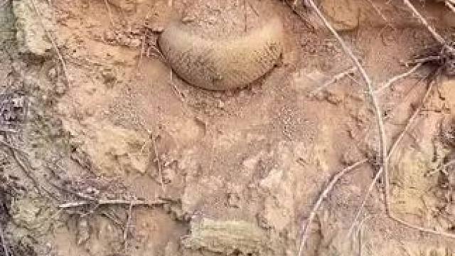 吓我一跳 #万万没想到 #吓我一跳 #实拍 #内容启发搜索