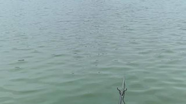 我发布了一个新视频，快来围观吧！