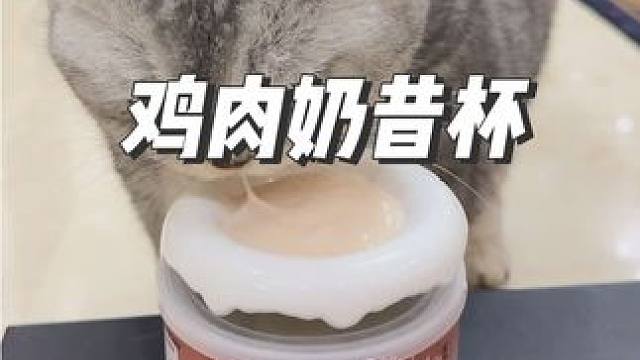 粉丝推荐吃的奶昔杯，没想到阿蛋能一下子吃完一整个 #小馋猫 #我和我的猫 #猫咪罐头