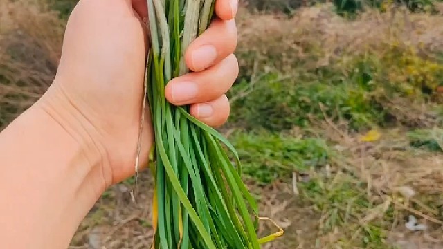 自由的世界  我回来了