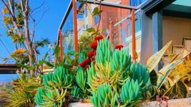 #普达阳光#晨光