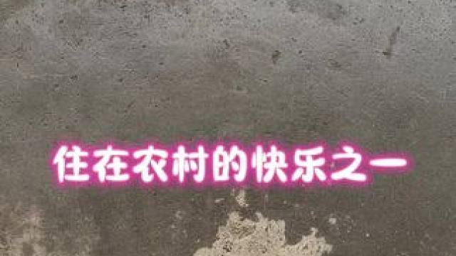 #西游记 当你住村里那么你就可以体验一把当孙悟空的感受，回天宫