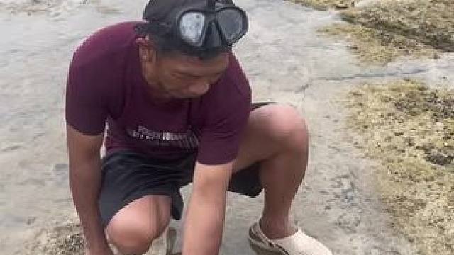 东南亚户外野炊 #泰国主播吃美食视频 #东南亚美食 #把家乡的味道分享给大家 #粗茶淡饭吃起香农村生